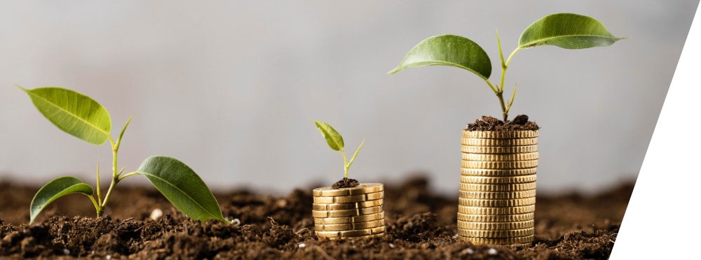 Ampliaciones y Reducciones de Capital